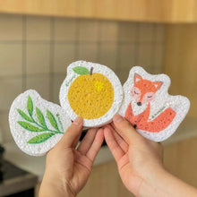 Load image into Gallery viewer, Pop Up Sponges - Plantish
