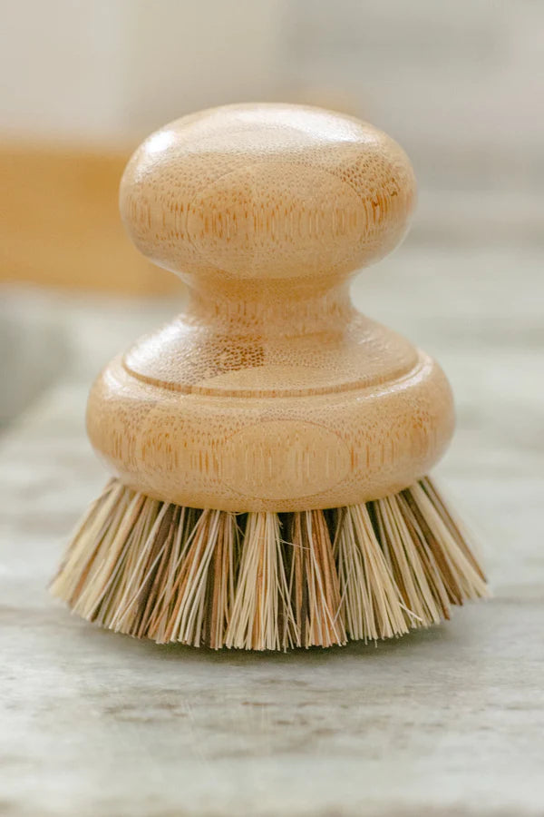Pot Scrubber Brush by Casa Agave